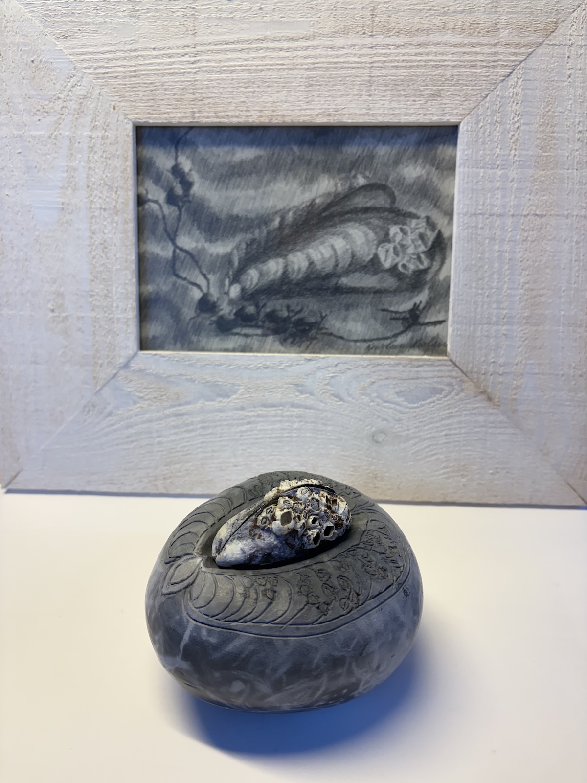 “Blåmusling“.   Tegning og keramik / drawing and ceramic. 30 x 35 cm.