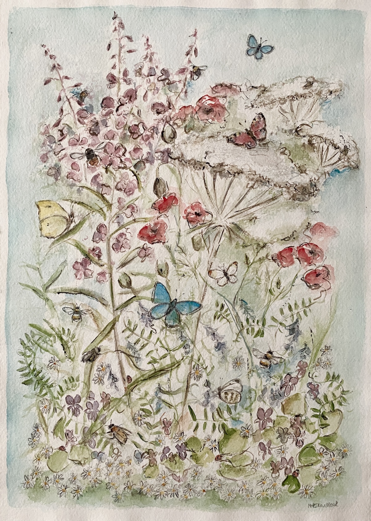 “Gederams og vild gulerod“. Akvarel/grafit - Watercolour/graphite. 54 x 41 cm.